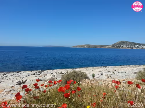 Item #21218919643484846679386017214105436286474954155539936946797714477728151896564 Media