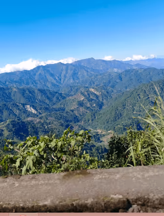 Untitled Collection #90912394