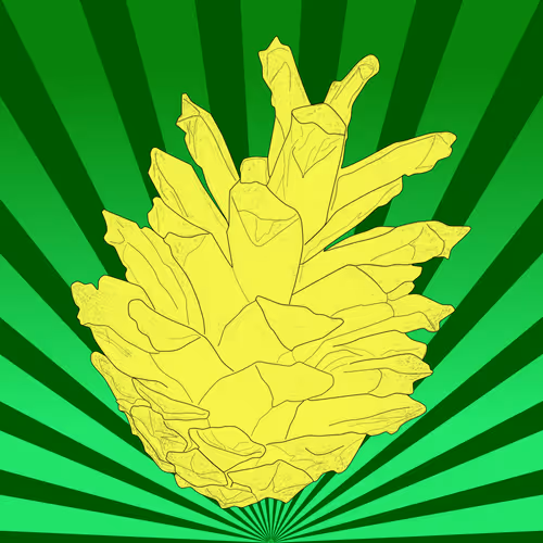 Item #51684206879132971117287575805148041327006568930595361555171380762327497310209 Media