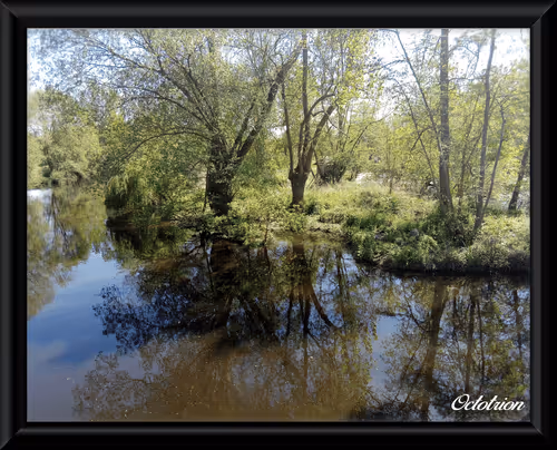 Photographies by Octotrion