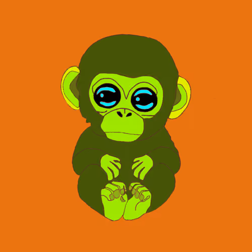 babymonkeycolourful