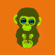 babymonkeycolourful