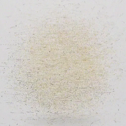 57318946476451200995887727952993032353443843299987120309893372068750625341539