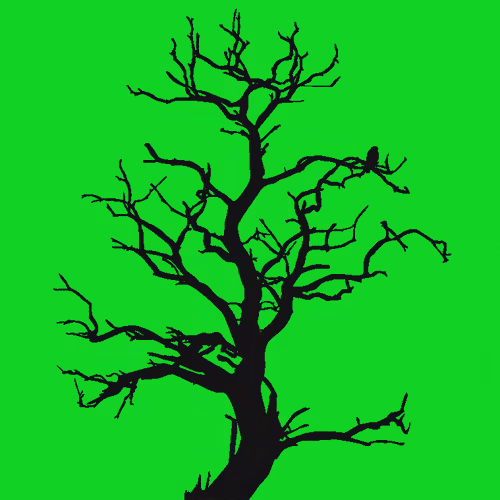 Item #28584310891482146390254294675559111591300807555565075434256981953202779848729 Media