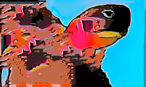 bean77