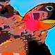 bean77