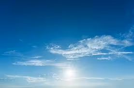 Untitled Collection #77124629