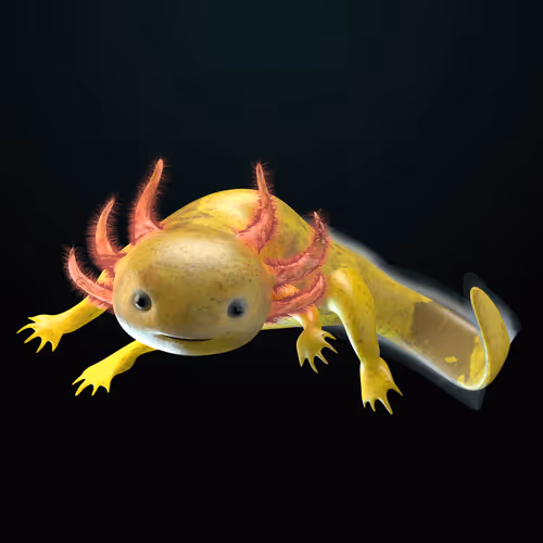 Item #39982110375740153587505644478940195082872270202471884348459982124910009909249 Media