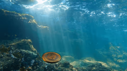 Untitled Collection #30242007