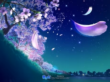 Untitled Collection #60368178