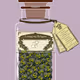 Crypto-Drugs