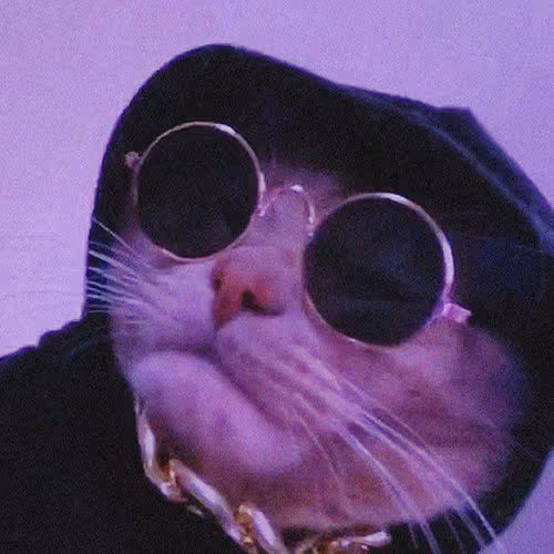 Untitled Collection #57552928