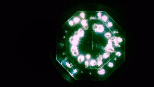 Untitled Collection #176191061