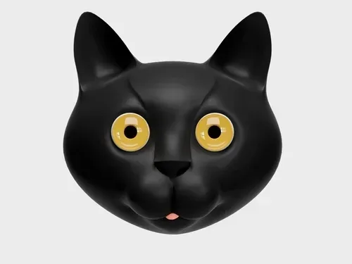 Blackcat