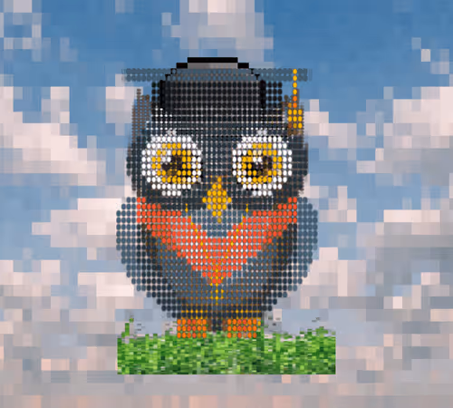 Crypto Owl United