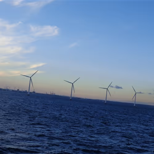 Untitled Collection #36725526