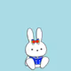 USAKO the Rabbit  Collection