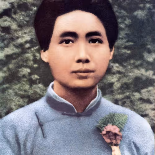 Untitled Collection #41324179