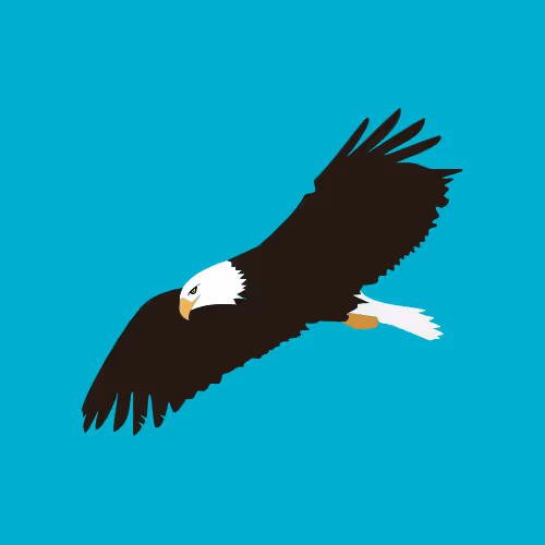 Untitled Collection #256905448