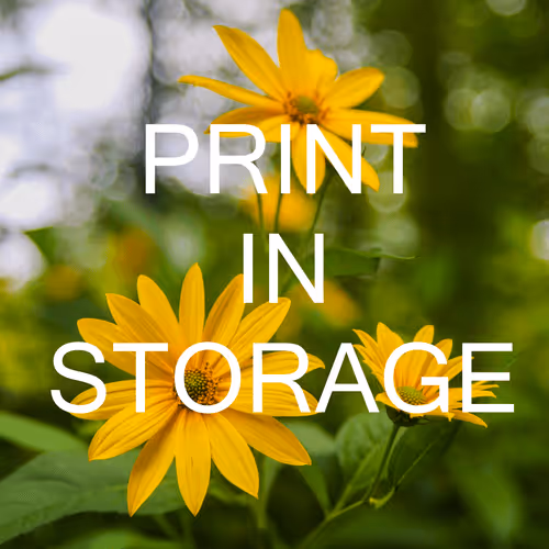 Just Shoot Light Multimedia Productions Physical Print Storage System