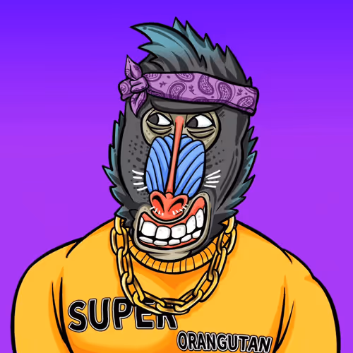 Untitled Collection #124048360