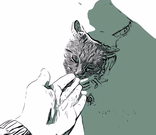 Untitled Collection #41894936