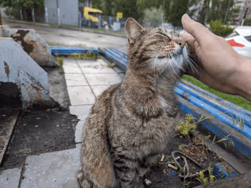 Untitled Collection #145247607