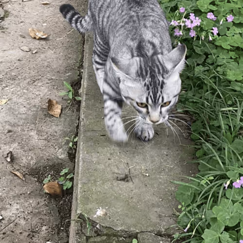 Untitled Collection #37383116