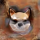 SHIBPUNKER