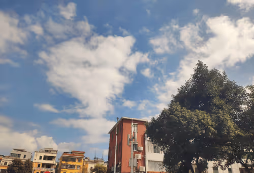 Untitled Collection #47591689