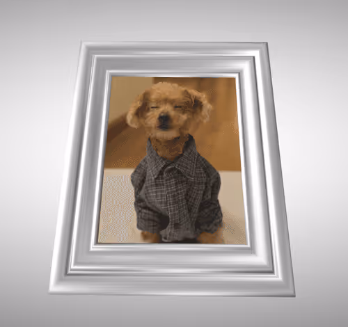 koba_yanen Collection