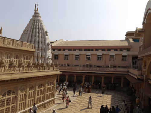 Untitled Collection #76803996