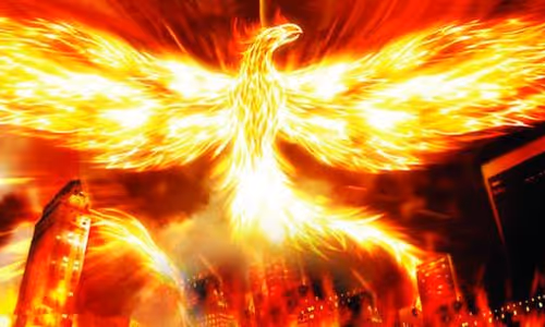 Untitled Collection #66998436