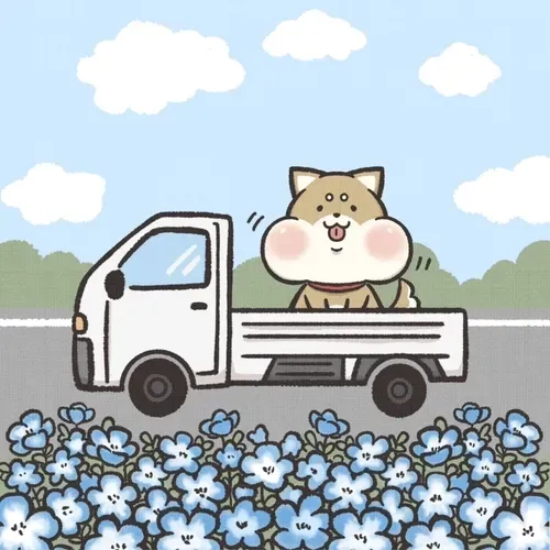 38180772508145087661191847621501144367657719948140587181024747574413443989505