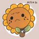 littlepetz
