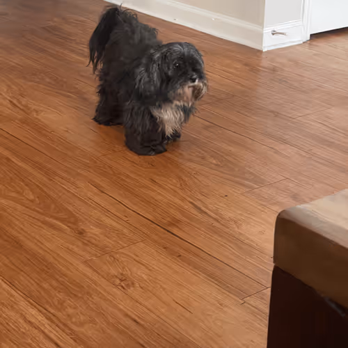 Untitled Collection #412535101