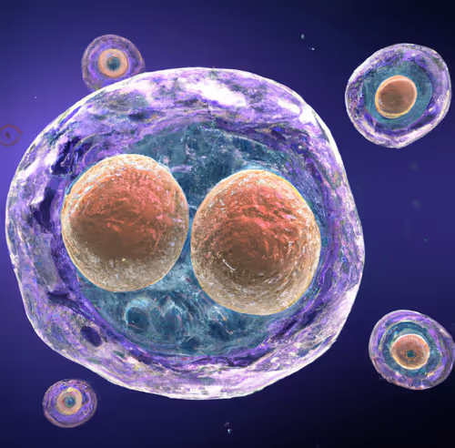 Item #15900858524274065462397165605509062893973264951757804275935713241158706528257 Media