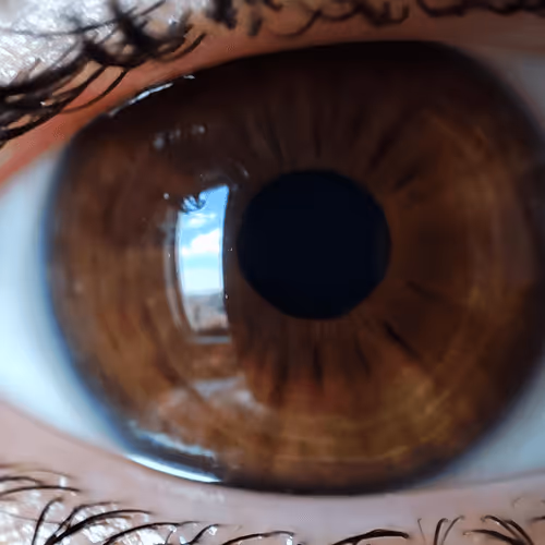 Untitled Collection #77021286