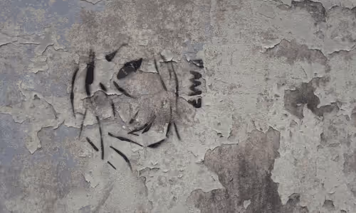 itsalltuna Collection