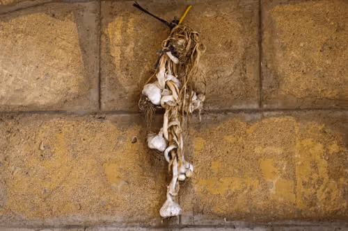 Item #114509295466493270274000987260466432265611896407660067943003400979465166127105 Media