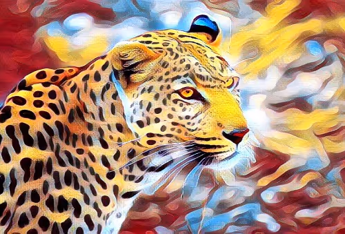 Untitled Collection #202235033