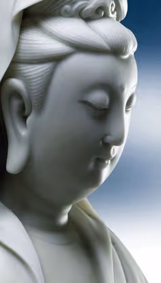 Untitled Collection #71279384