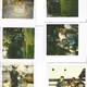 Untitled Collection #168524309