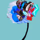Monday Flowers