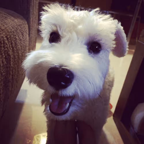 Untitled Collection #86374929