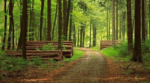 Untitled Collection #22428307