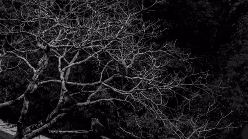 Untitled Collection #246753853