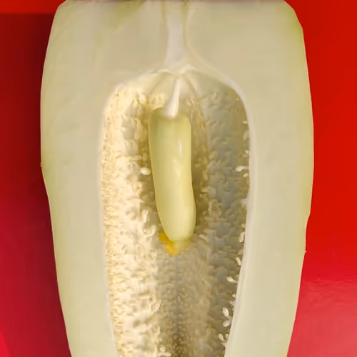 Untitled Collection #79426551