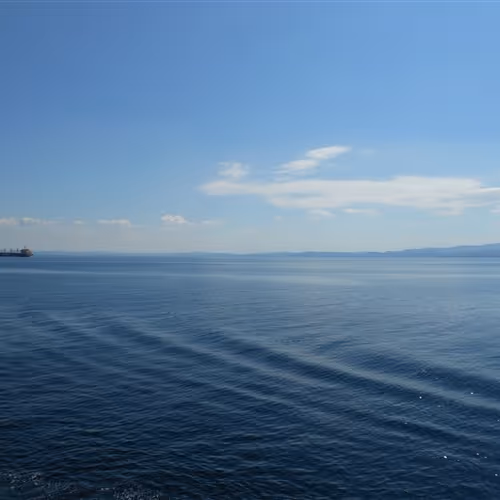 Untitled Collection #58355766