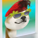 Punks - Shiba Inu Cards